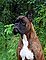 lex_2007_08b_f.jpg