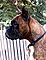 mlex_05-04b_f.jpg