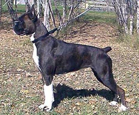 macey_14mos.jpg