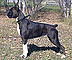 macey_14mos.jpg