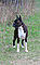 macey_8yrs2_f.jpg