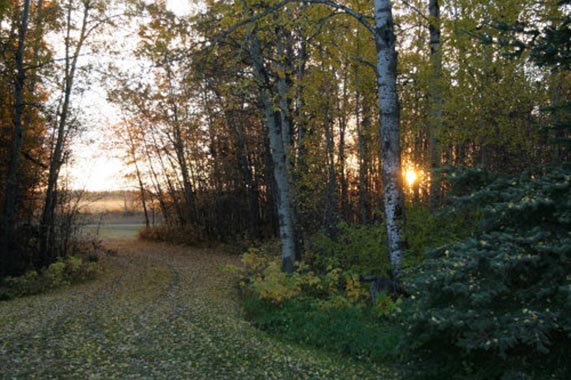 3-2007_10_01_autumn3_f.jpg