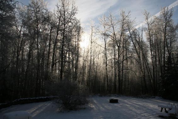 2006-11_winter1_f.jpg