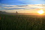 summer_sunrise1.jpg