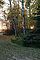 2007_10_01_autumn2_f.jpg