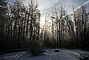 2006-11_winter1_f.jpg