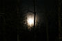 winter_moon.jpg