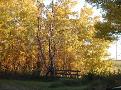 home_200410.jpg